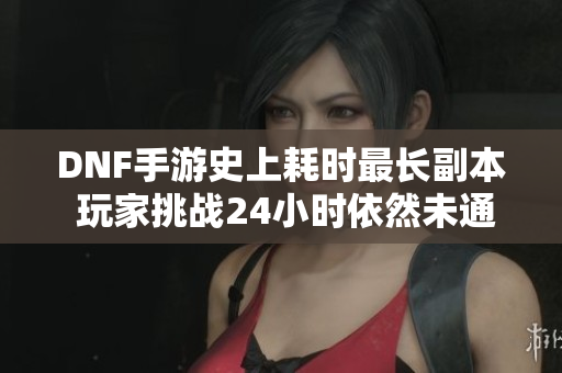 DNF手游史上耗时最长副本 玩家挑战24小时依然未通关