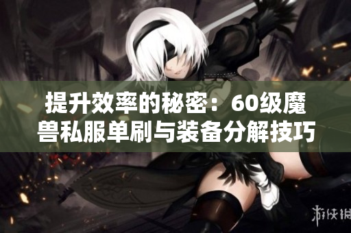 提升效率的秘密：60级魔兽私服单刷与装备分解技巧探讨