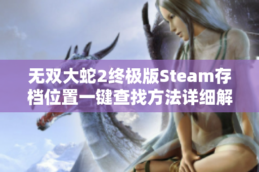 无双大蛇2终极版Steam存档位置一键查找方法详细解析