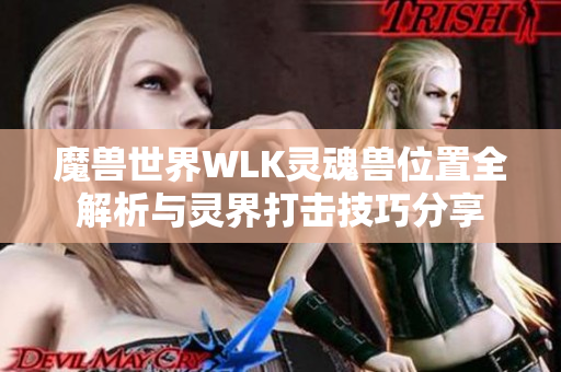 魔兽世界WLK灵魂兽位置全解析与灵界打击技巧分享