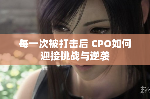 每一次被打击后 CPO如何迎接挑战与逆袭