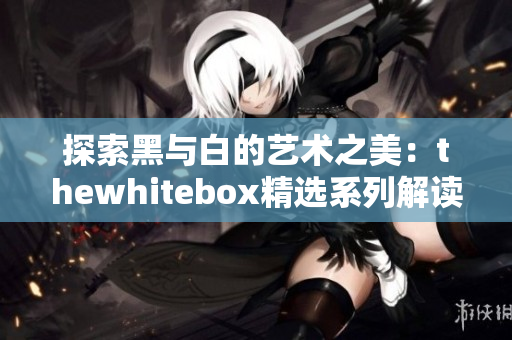 探索黑与白的艺术之美：thewhitebox精选系列解读