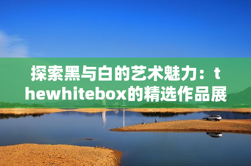 探索黑与白的艺术魅力：thewhitebox的精选作品展览