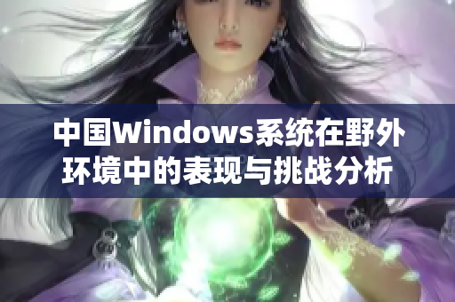 中国Windows系统在野外环境中的表现与挑战分析
