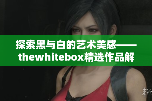 探索黑与白的艺术美感——thewhitebox精选作品解析