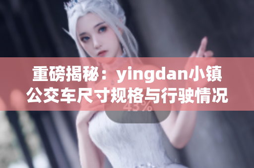 重磅揭秘：yingdan小镇公交车尺寸规格与行驶情况分析