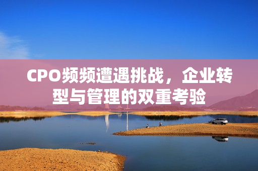 CPO频频遭遇挑战，企业转型与管理的双重考验