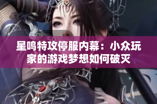 星鸣特攻停服内幕：小众玩家的游戏梦想如何破灭