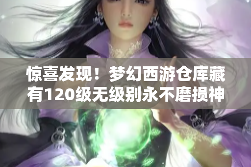 惊喜发现！梦幻西游仓库藏有120级无级别永不磨损神器