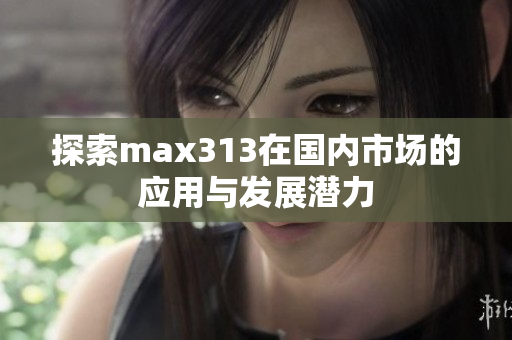 探索max313在国内市场的应用与发展潜力