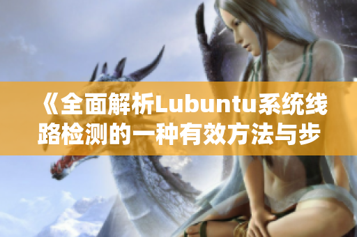 《全面解析Lubuntu系统线路检测的一种有效方法与步骤》