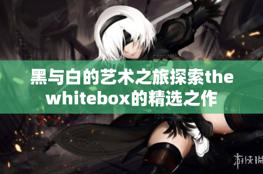 黑与白的艺术之旅探索thewhitebox的精选之作