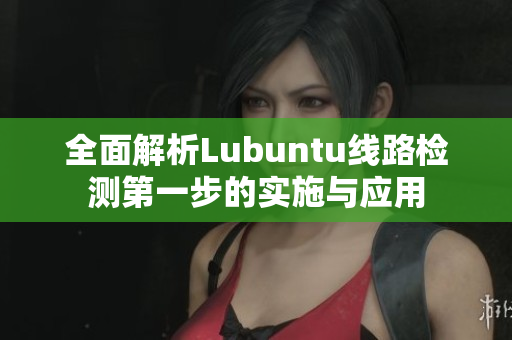 全面解析Lubuntu线路检测第一步的实施与应用