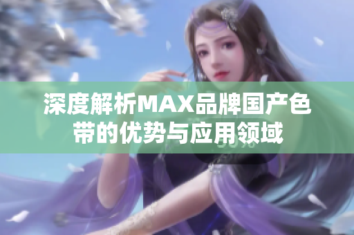 深度解析MAX品牌国产色带的优势与应用领域