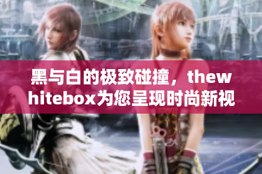 黑与白的极致碰撞，thewhitebox为您呈现时尚新视界