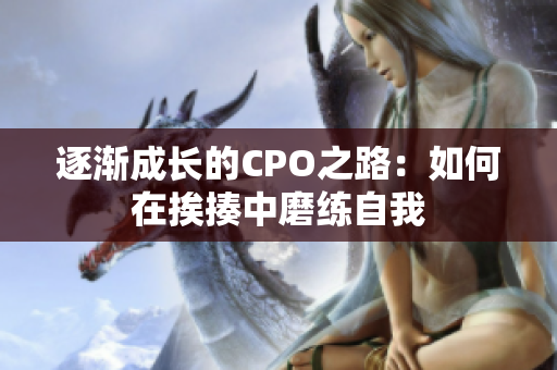 逐渐成长的CPO之路：如何在挨揍中磨练自我