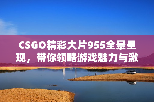 CSGO精彩大片955全景呈现，带你领略游戏魅力与激烈对战