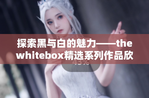 探索黑与白的魅力——thewhitebox精选系列作品欣赏