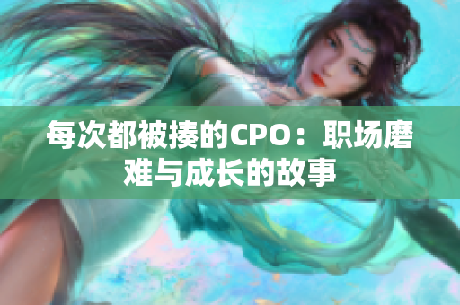 每次都被揍的CPO：职场磨难与成长的故事