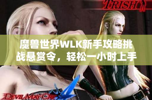 魔兽世界WLK新手攻略挑战悬赏令，轻松一小时上手