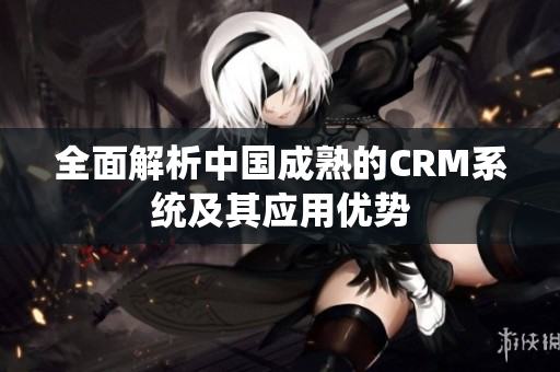 全面解析中国成熟的CRM系统及其应用优势