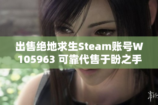 出售绝地求生Steam账号W105963 可靠代售于盼之手游网