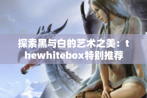 探索黑与白的艺术之美：thewhitebox特别推荐