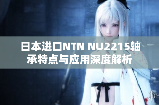 日本进口NTN NU2215轴承特点与应用深度解析