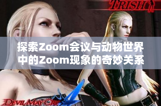 探索Zoom会议与动物世界中的Zoom现象的奇妙关系