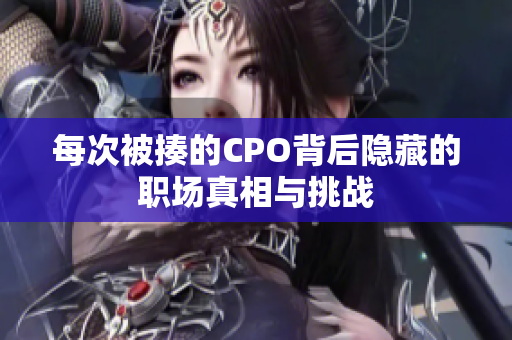 每次被揍的CPO背后隐藏的职场真相与挑战