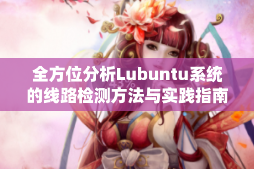 全方位分析Lubuntu系统的线路检测方法与实践指南