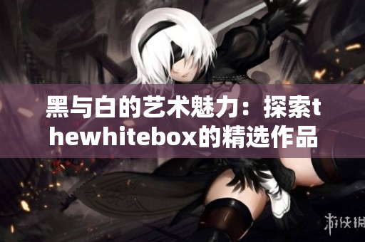 黑与白的艺术魅力：探索thewhitebox的精选作品